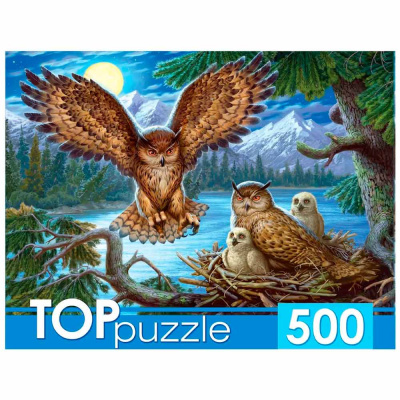 Пазлы Ночные совы TOPpuzzle 500 элементов Рыжий кот ХТП500-4218 1